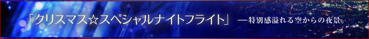 「クリスマス☆スペシャルナイトフライト」